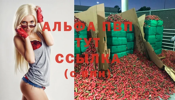 гидра Губаха