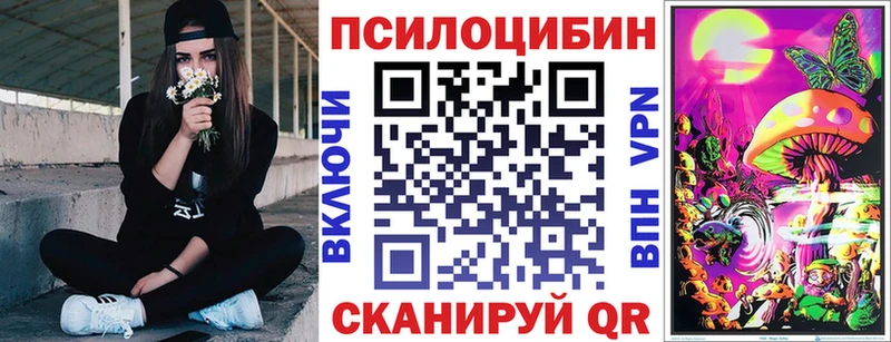 мориарти как зайти  блэк спрут как зайти  Андреаполь  Псилоцибиновые грибы ЛСД 